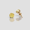 Classic Yellow Diamond 4 Prong Studs